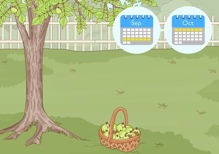 ILLEGAL HARVESTING OF NUTS IS PUNISHABLE BY A FINE OF UP TO 27 MILLION MNT