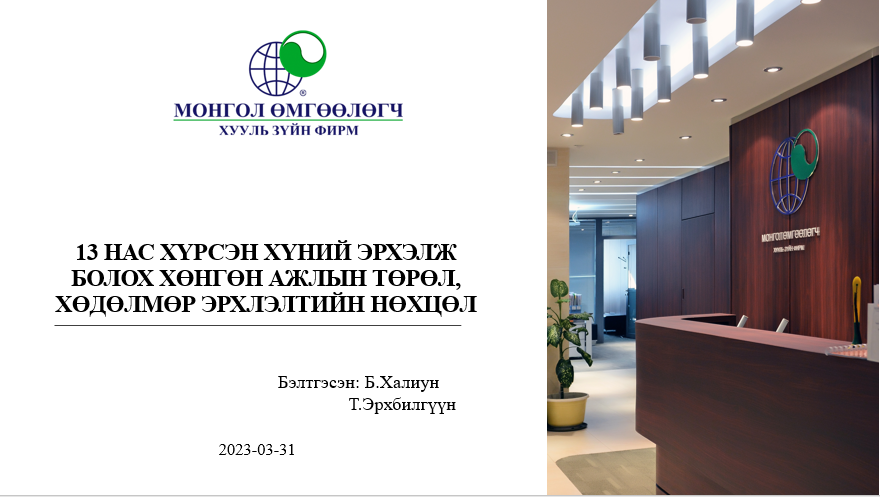 13 НАС ХҮРСЭН ХҮНИЙ ЭРХЭЛЖ БОЛОХ ХӨНГӨН АЖЛЫН ТӨРӨЛ, ХӨДӨЛМӨР ЭРХЛЭЛТИЙН НӨХЦӨЛ