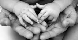 АСРАН ХАМГААЛАХ, ХАРГАЛЗАН ДЭМЖИГЧИЙГ ТОГТООХ ЖУРАМ