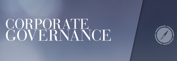 ХЯЗГААРЛАГДМАЛ ХАРИУЦЛАГАТАЙ КОМПАНИЙН ТӨЛӨӨЛӨН УДИРДАХ ЗӨВЛӨЛ, ТҮҮНИЙ БҮРЭН ЭРХ