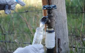 ГАДААДЫН ИРГЭН, АЖ АХУЙН НЭГЖ БАЙГУУЛЛАГУУДЫН АНХААРАЛД